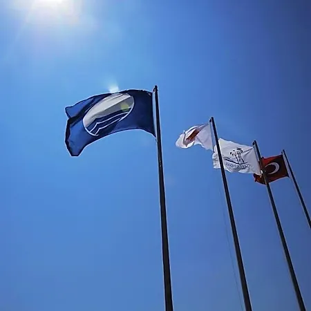Huzur * Siğacık