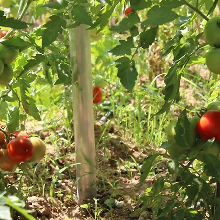 Huzur Hotel Sigacik