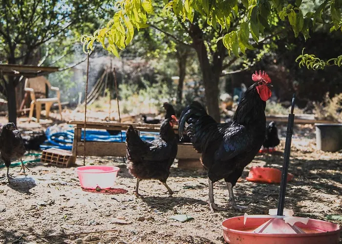 Huzur Hotel Siğacık